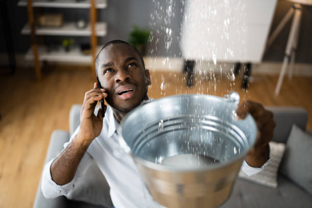 Best Flood restoration services  in Silverton, OH