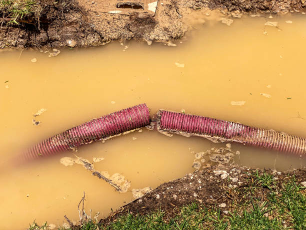 Best Water damage restoration near me  in Silverton, OH